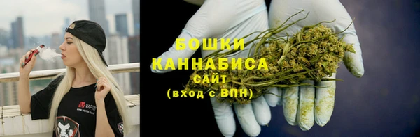 PSILOCYBIN Балабаново