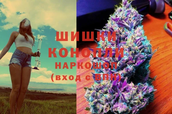 PSILOCYBIN Балабаново