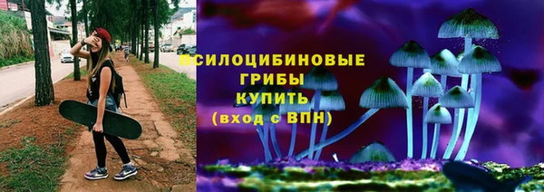 PSILOCYBIN Балабаново