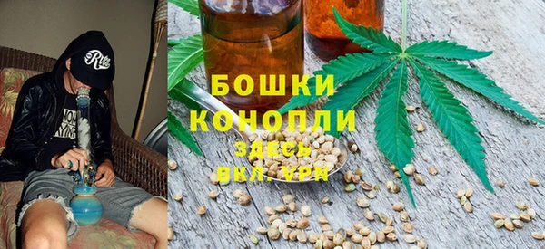 прущие крисы Балахна